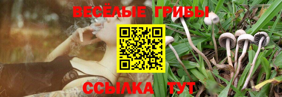 Галлюциногенные грибы MAGIC MUSHROOMS Полысаево