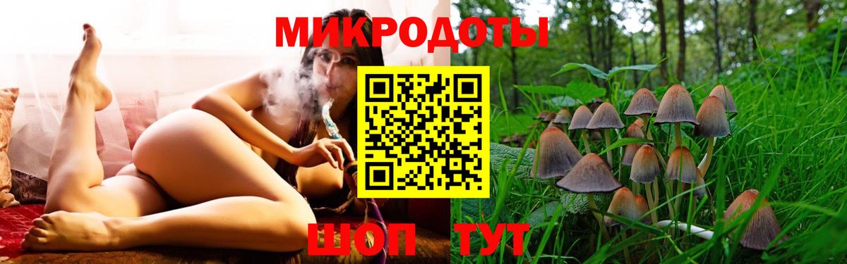 Псилоцибиновые грибы GOLDEN TEACHER  Вход с VPN  Полысаево 